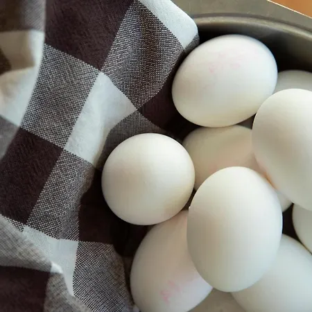 Hostel-vandrerhjem * Конгсберг