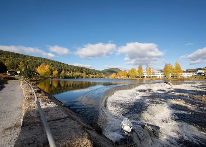 Hostel-vandrerhjem *