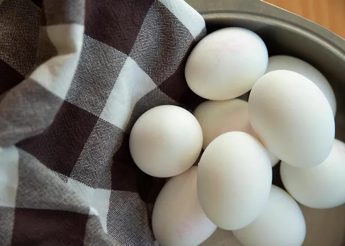 Hostel-vandrerhjem * Kongsberg