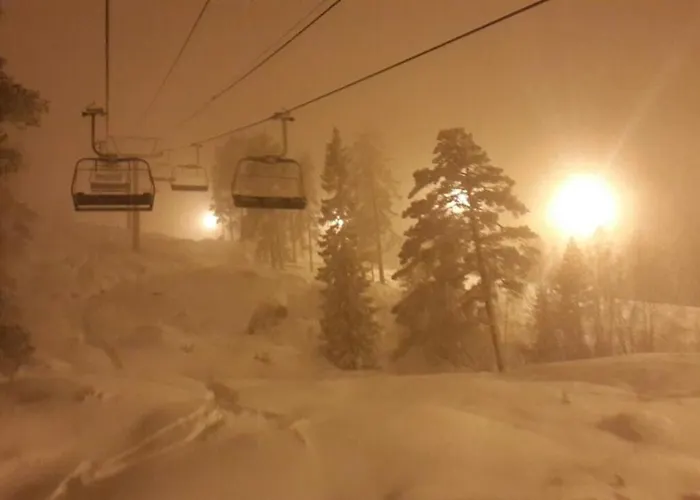 Hostel-vandrerhjem * Kongsberg